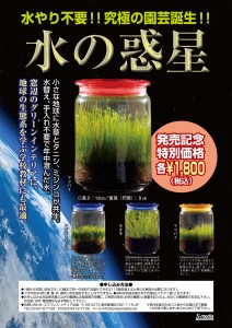 水の惑星【ナガバオモダカ】