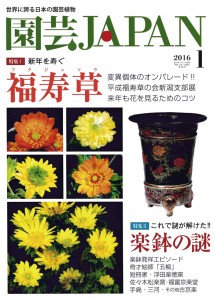 園芸JAPAN 2016年1月号