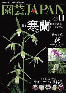 園芸JAPAN 2016年11月号