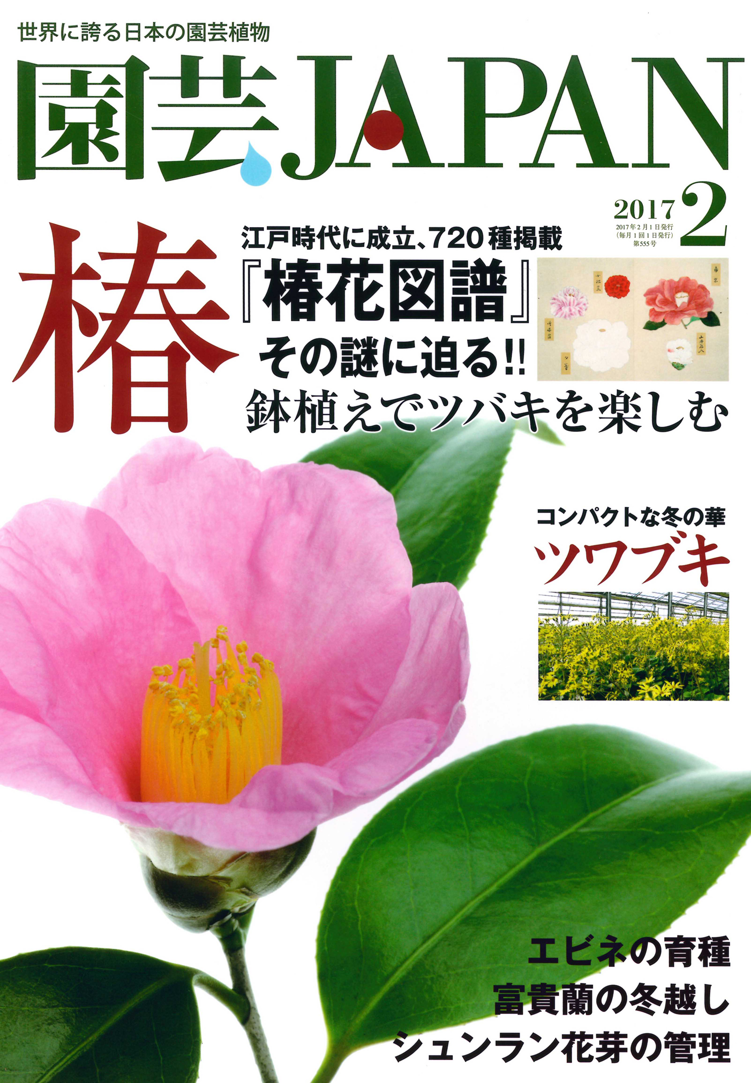 園芸japan 17年2月号 エスプレス メディア出版