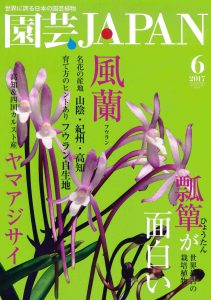 園芸JAPAN 2017年6月号