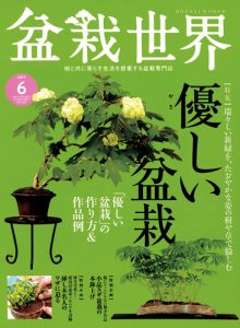 盆栽世界 2017年6月号