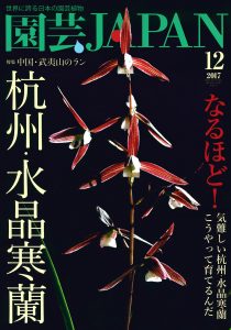 園芸JAPAN 2017年12月号