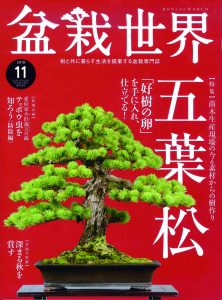 盆栽世界 2019年11月号