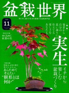 盆栽世界 2020年11月号