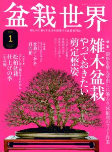 盆栽世界 2021年1月号