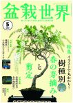 盆栽世界 2025年5月号