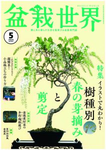 盆栽世界 2025年5月号