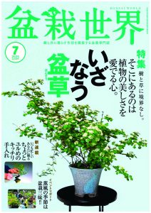 盆栽世界 2025年7月号