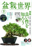 盆栽世界 2025年9月号
