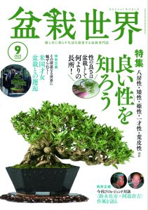 盆栽世界 2025年9月号