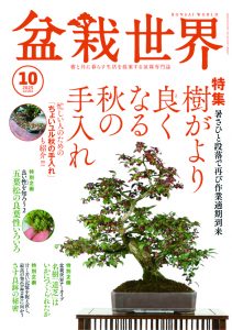 盆栽世界 2025年10月号