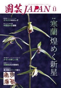 園芸JAPAN 2025年11月号