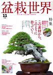 盆栽世界 2025年11月号