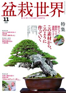 盆栽世界 2025年11月号