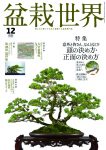 盆栽世界 2025年12月号