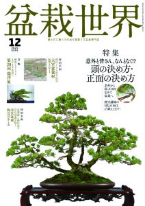 盆栽世界 2025年12月号