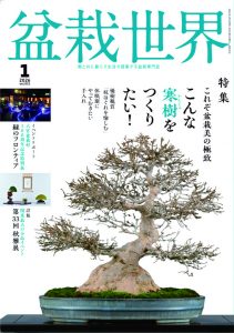 盆栽世界 2026年1月号