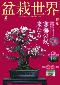 盆栽世界 2026年2月号