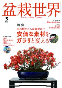 盆栽世界 2026年3月号