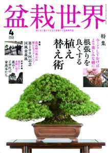 盆栽世界 2026年4月号