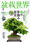 盆栽世界 2026年5月号