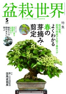 盆栽世界 2026年5月号