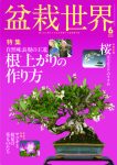 盆栽世界 2026年6月号