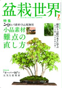 盆栽世界 2026年7月号