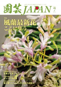 園芸JAPAN 2026年07月号