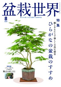 盆栽世界 2026年8月号