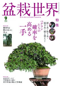 盆栽世界 2026年9月号