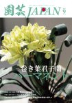 園芸JAPAN 2026年09月号
