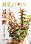 園芸JAPAN 2026年11月号