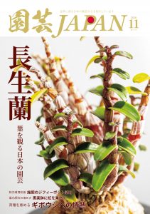 園芸JAPAN 2026年11月号